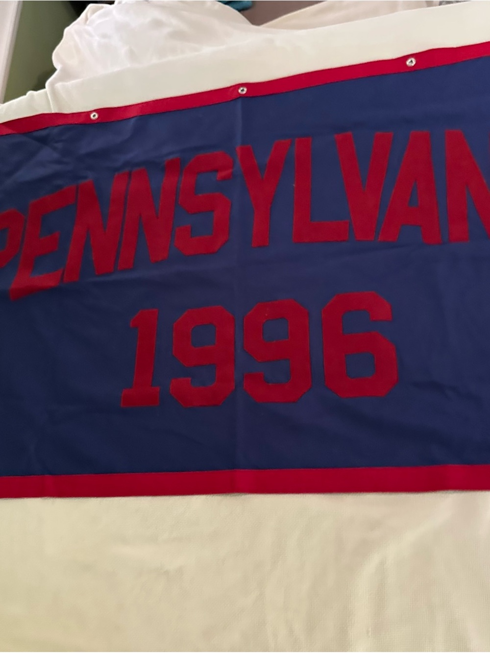 Vintage 1996 UPenn University of Pennsylvania Felt Banner Flag The Nixon Co Ivy